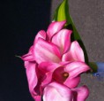 /album/csokrok/calla-menyasszonyi-csokor-jpg/